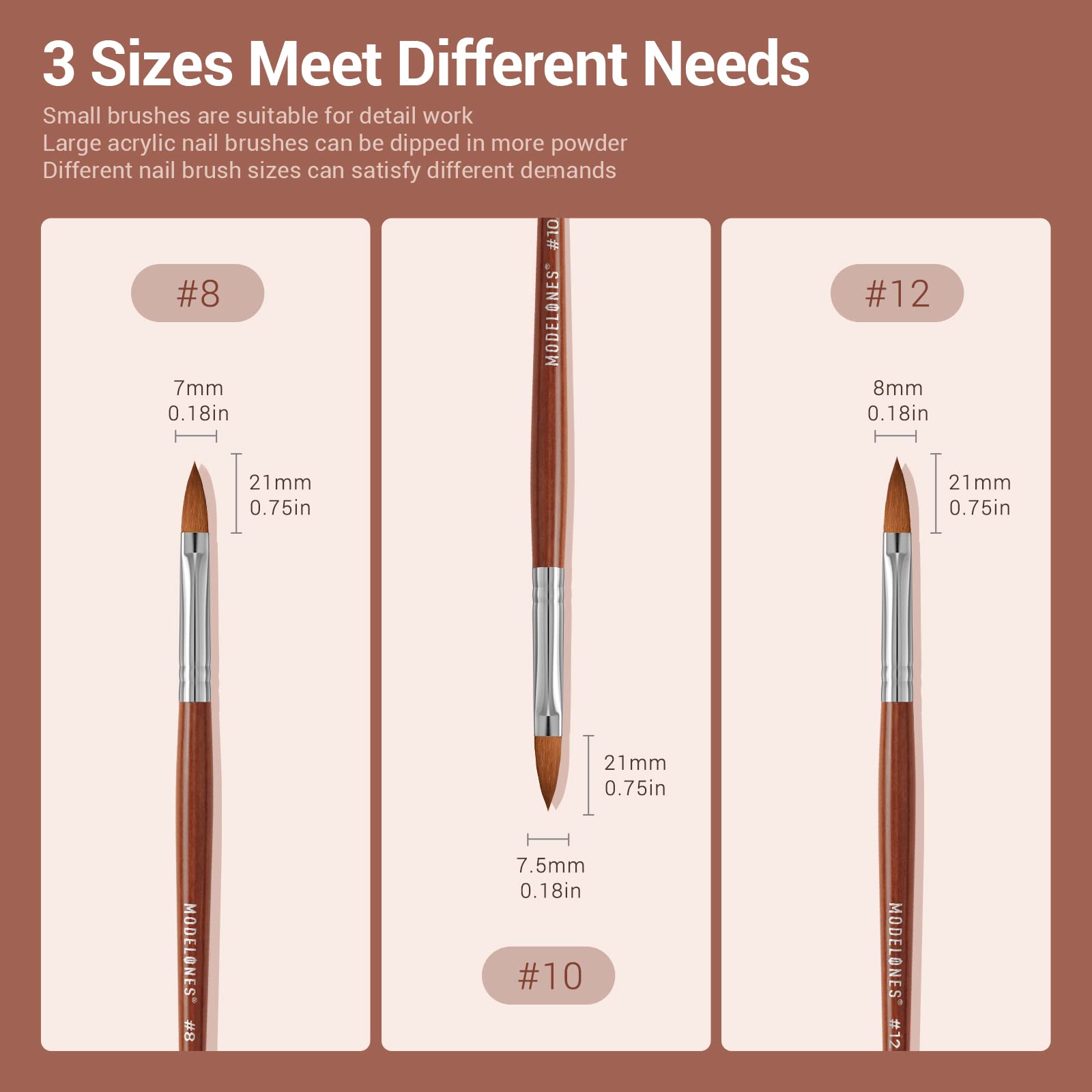 modelones size comparison displaying sizes 8 10 12 for varied sculpting needs