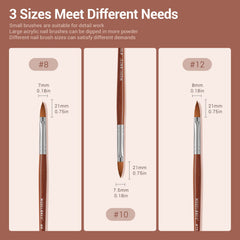 modelones size comparison displaying sizes 8 10 12 for varied sculpting needs