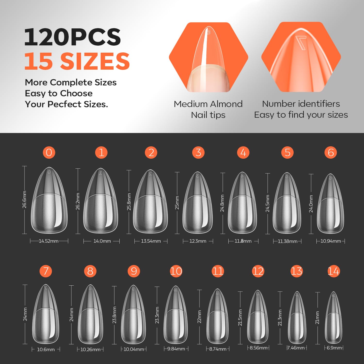 modelones apex detail texture demonstrating thicker strength and durability