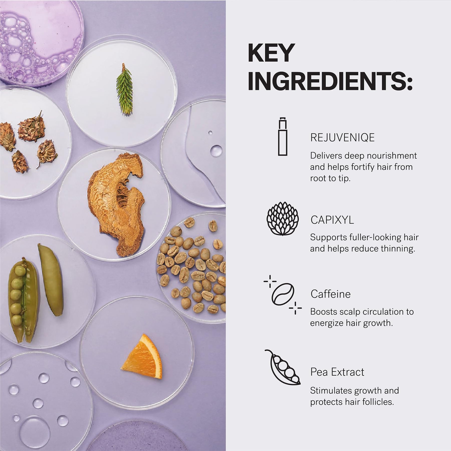 Key natural ingredients for MONAT serum displayed to highlight clean formula