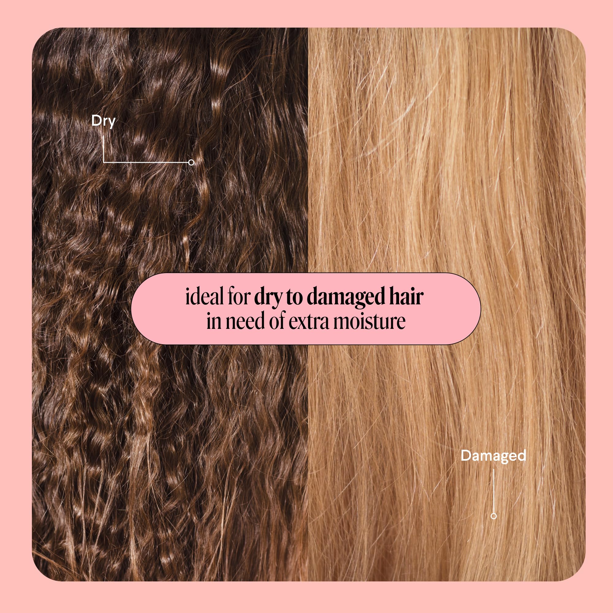MONDAY HAIRCARE natural ingredients display of argan shea coconut nourishing