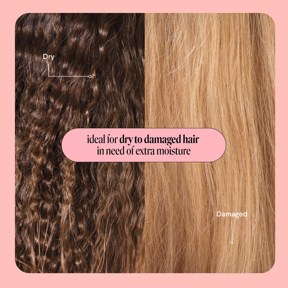 MONDAY HAIRCARE natural ingredients display of argan shea coconut nourishing