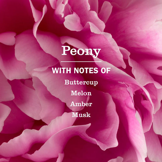 Mrs. Meyer's peony refill being poured into a dispenser for easy transfer benefit