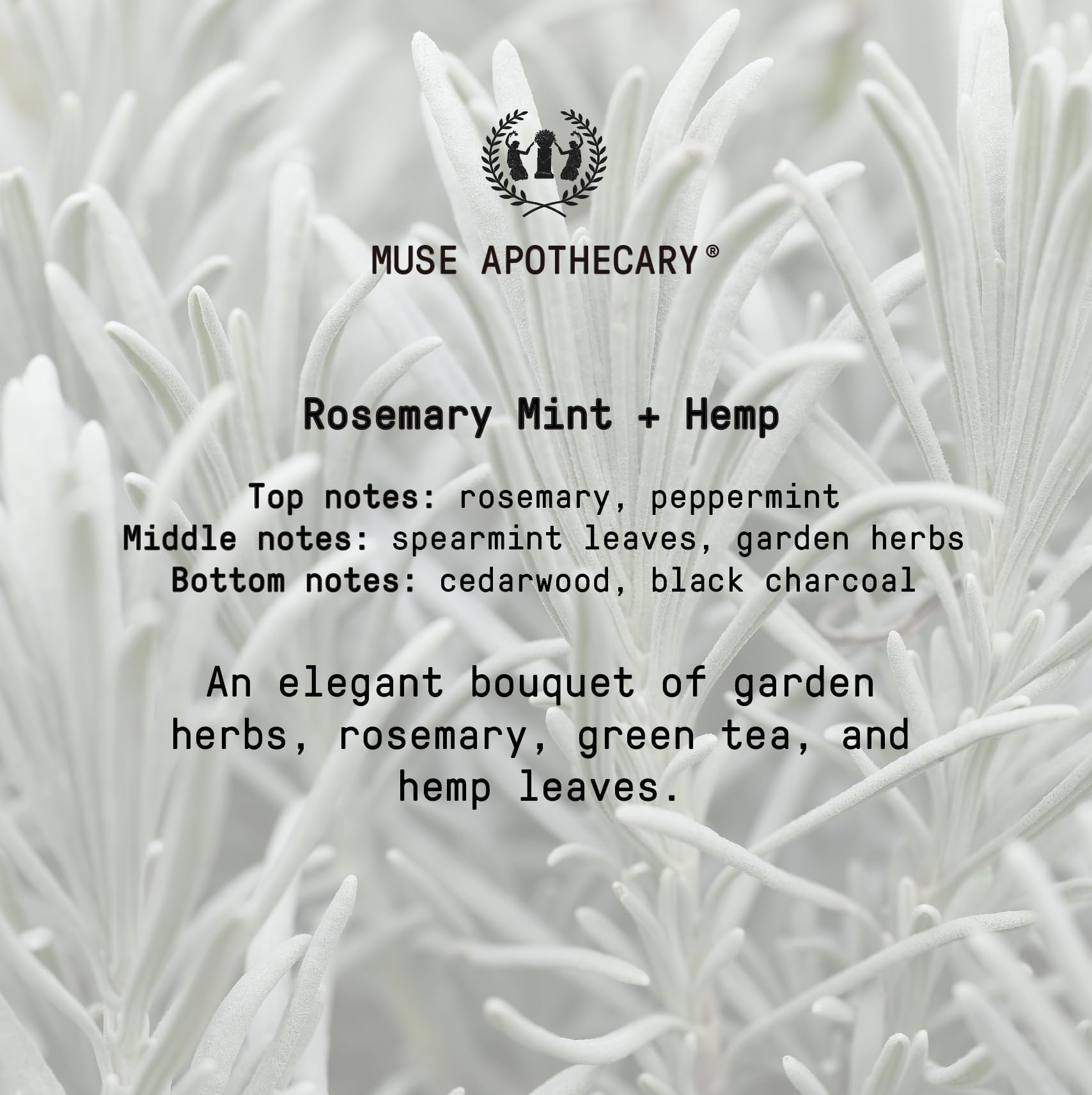 Muse Apothecary bottle with gift styling illustrating premium presentable packaging