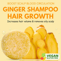 Muun ginger bar close-up texture showing concentrated extract for stronger roots
