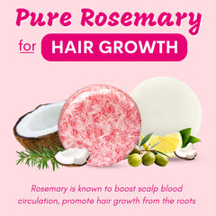Muun rosemary shampoo bar close-up texture for gentle cleansing