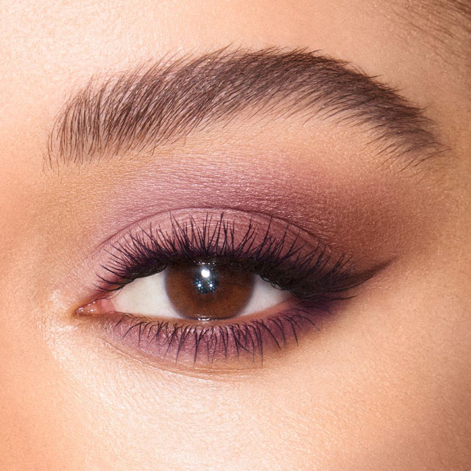 MYSTER ROSEY deep brown pan detail illustrating rich pigment payoff benefit