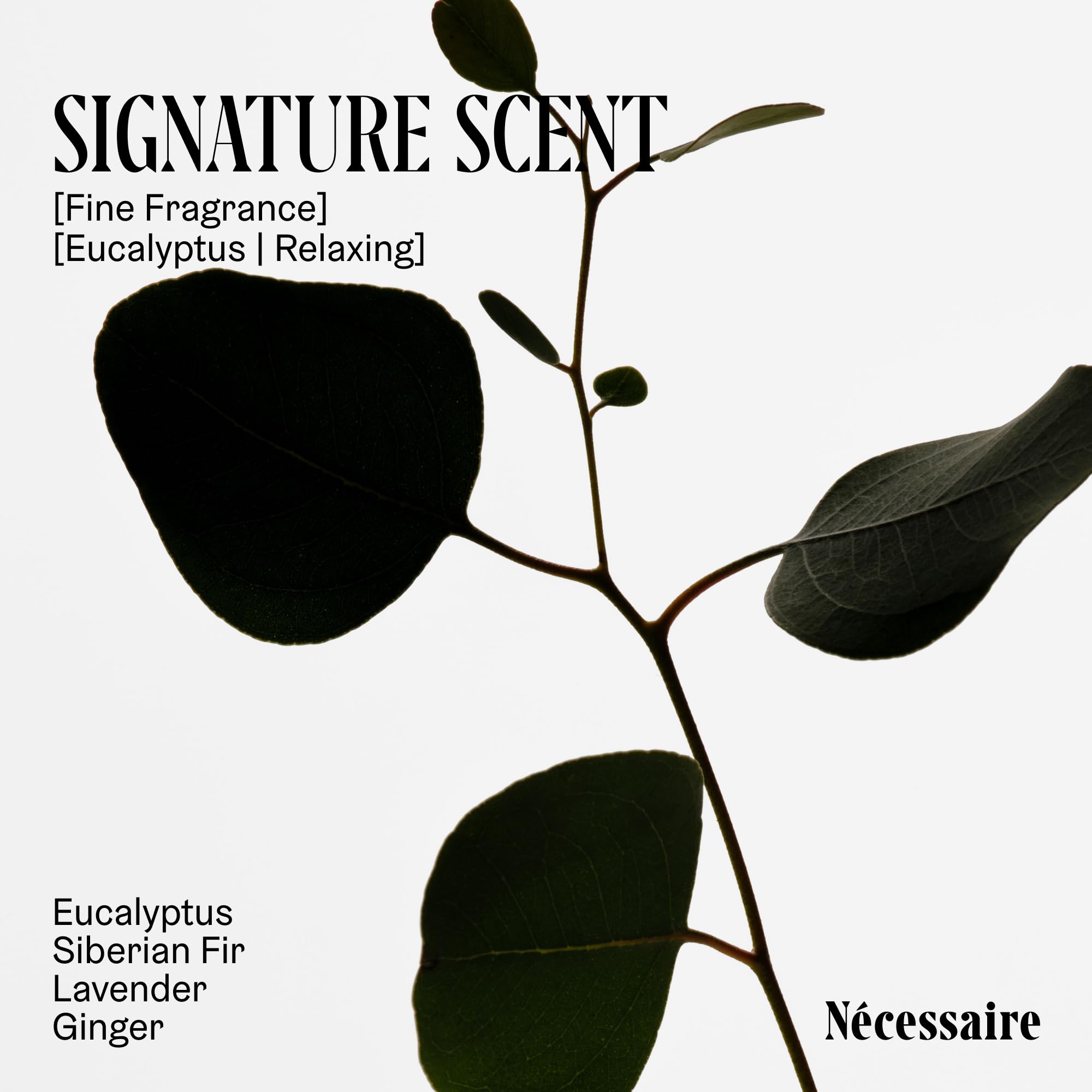 Nécessaire ingredients flatlay with peptides and plant oils emphasizing nourishing formula