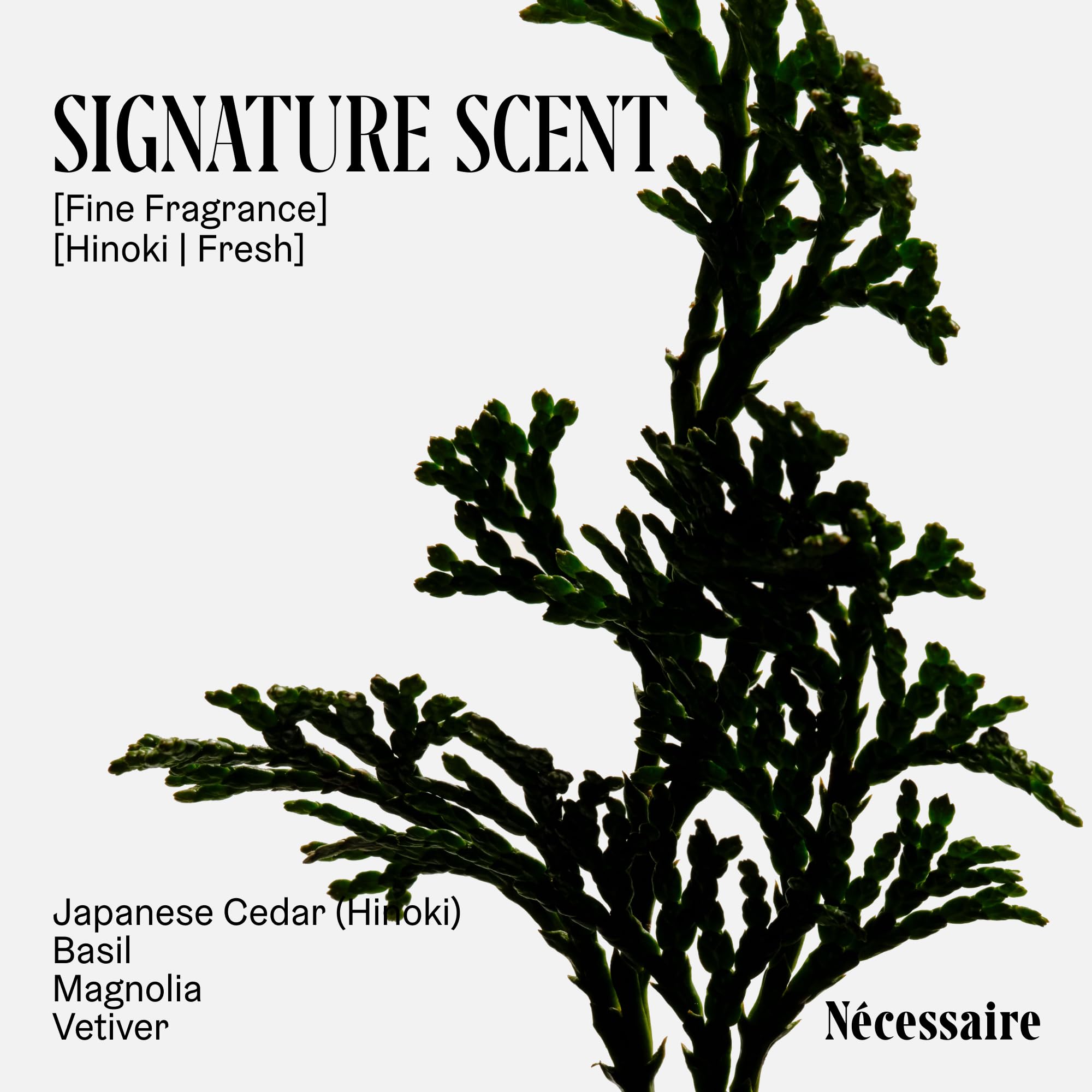 Nécessaire texture close-up showing creamy, non-greasy finish for smoothness