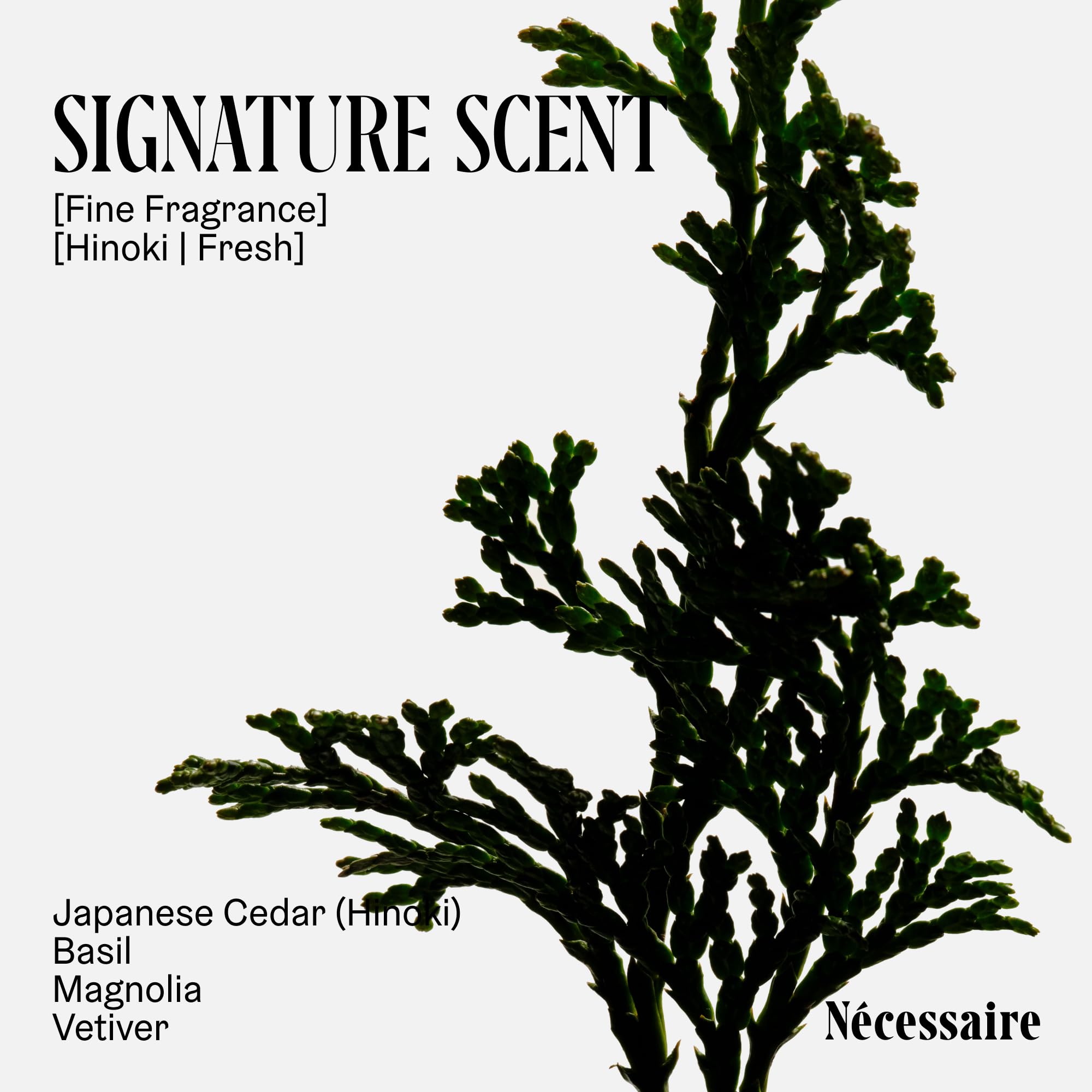 Nécessaire niacinamide and glycerin ingredients visual showing barrier-support benefit