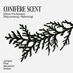 Nécessaire pine branch representing conifère scent for a refreshing feel
