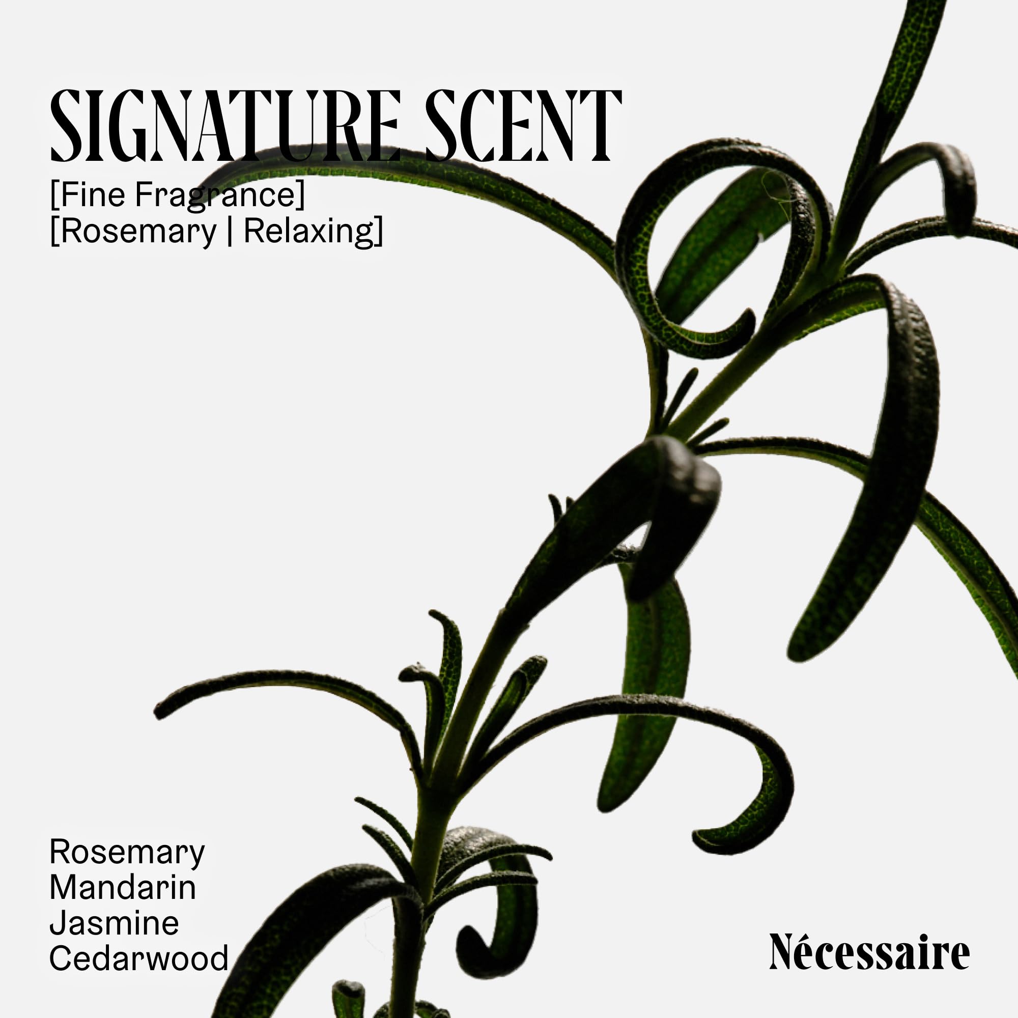 Nécessaire label close-up highlighting rosemary and plant proteins, ingredient clarity benefit