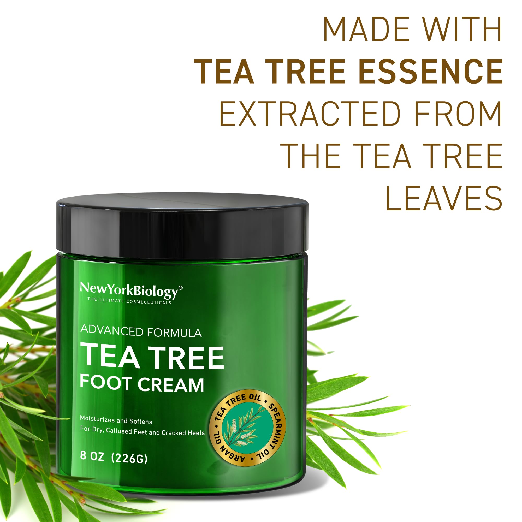 NEW YORK BIOLOGY tea tree leaves ingredient shot emphasizing natural freshness