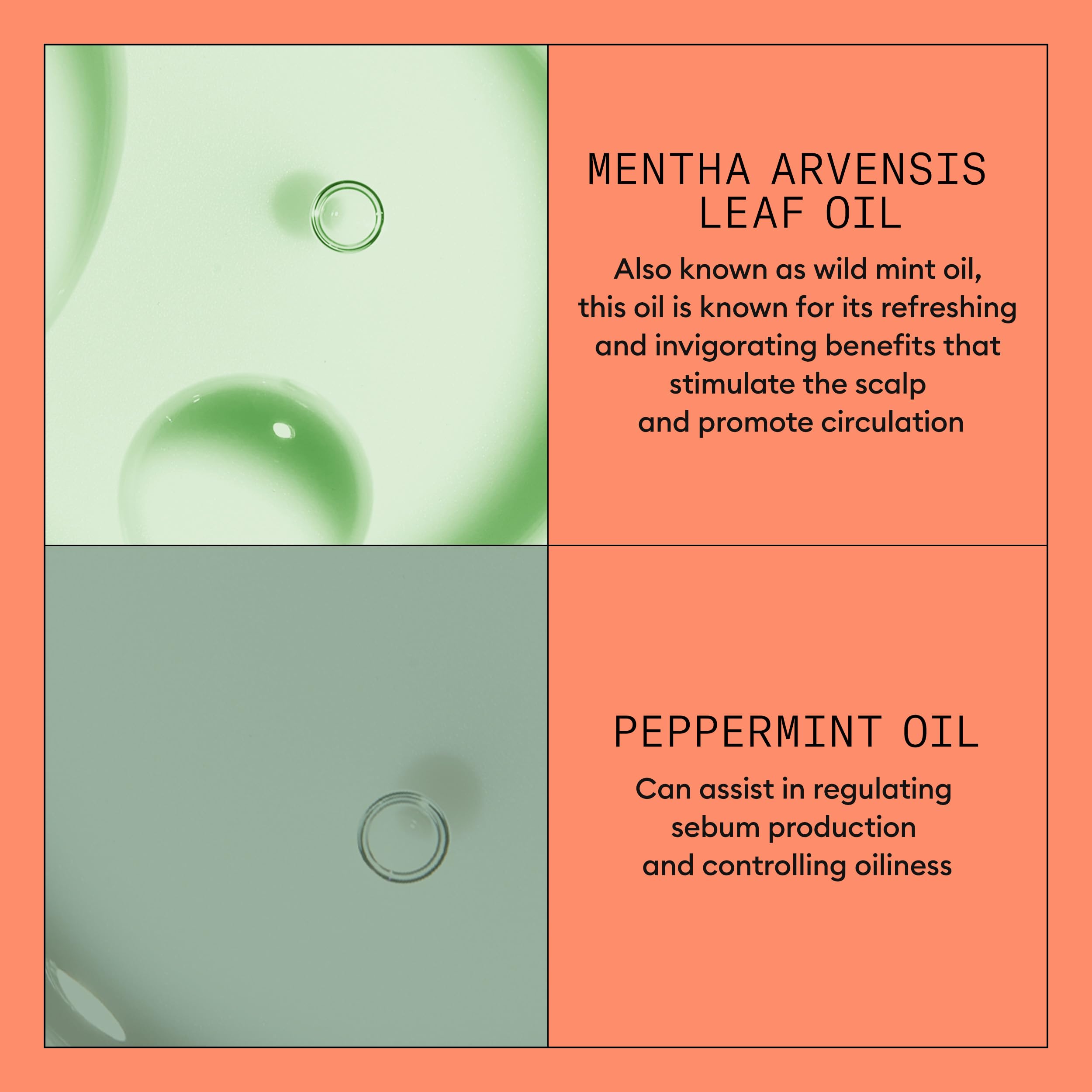 Nioxin conditioner applied to wet hair for detangling and smoothing benefits