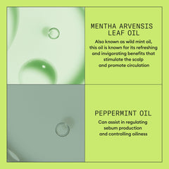 Close look at Nioxin ingredients label and BioAMP technology supporting hair resilience
