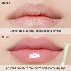 Nobeka cake glitter formula detail for subtle sparkle and shine