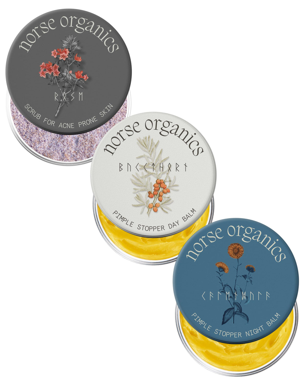 Norse Organics complete kit front packaging showing three product jars and benefit clarity