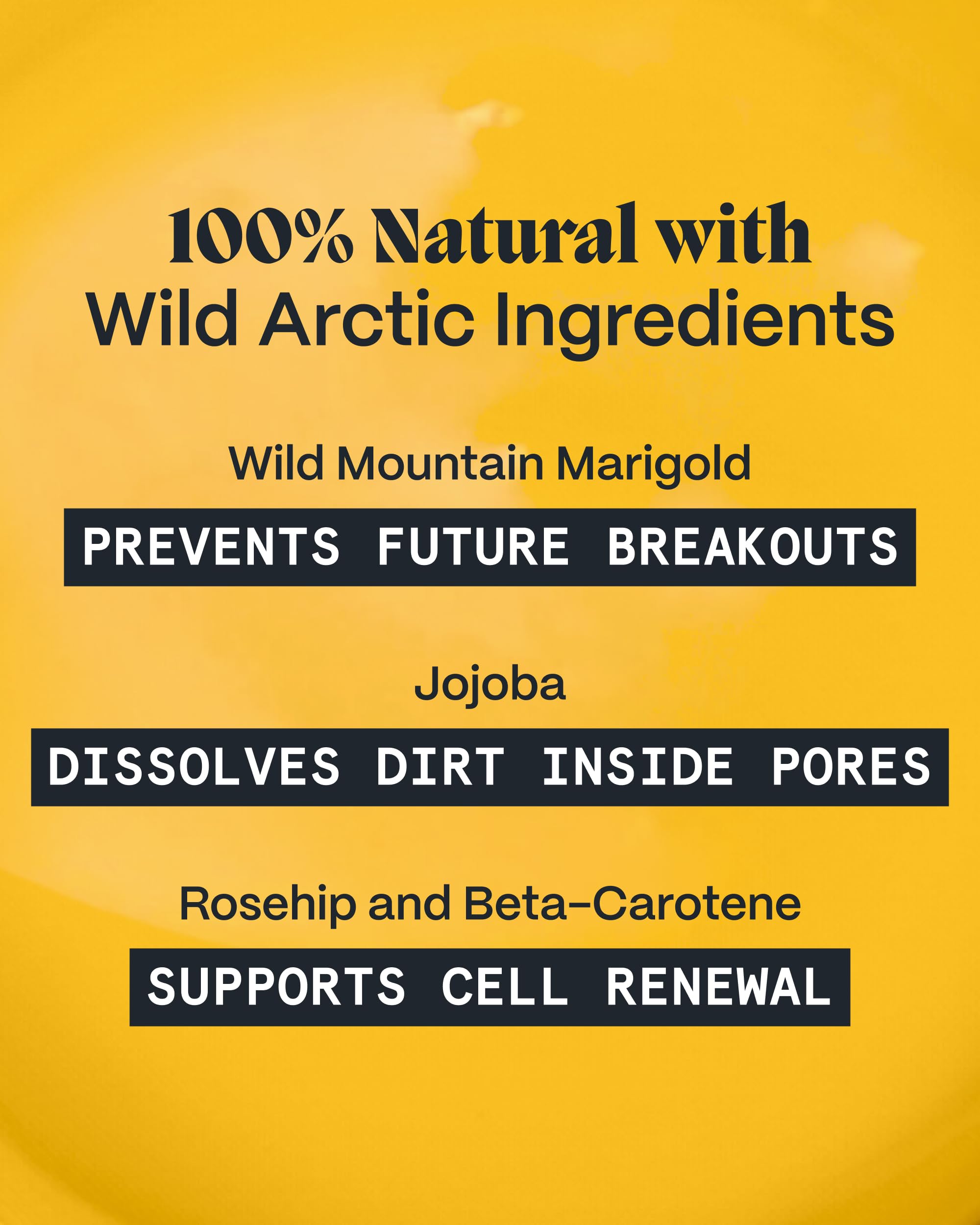 Norse Organics ingredients laid out highlighting Arctic botanicals benefit