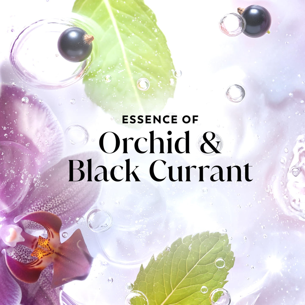orchid and black currant essence visuals highlighting Olay scent notes