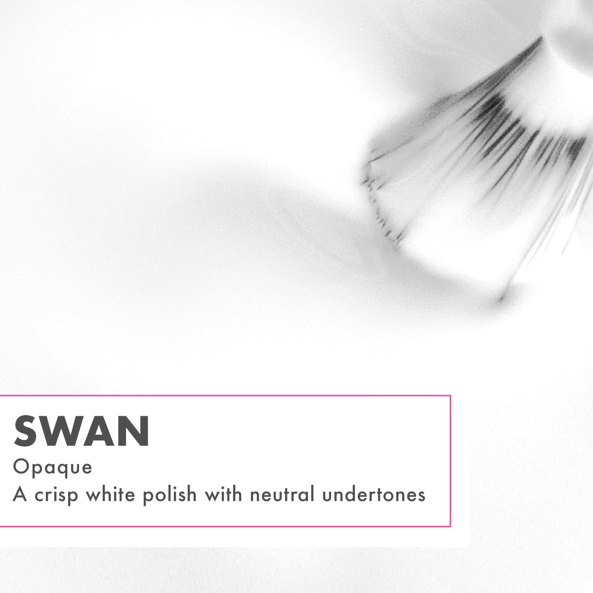 Olive & June swatch fan displaying true Swan white pigment for opaque coverage