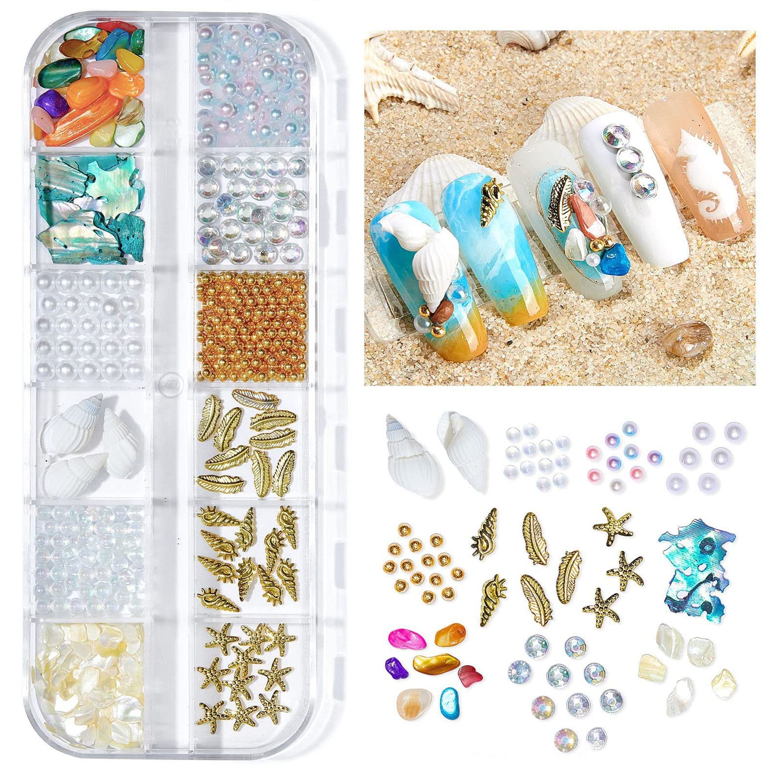 ONEUPIN natural shell close-up displaying colorful finish and realistic beach texture