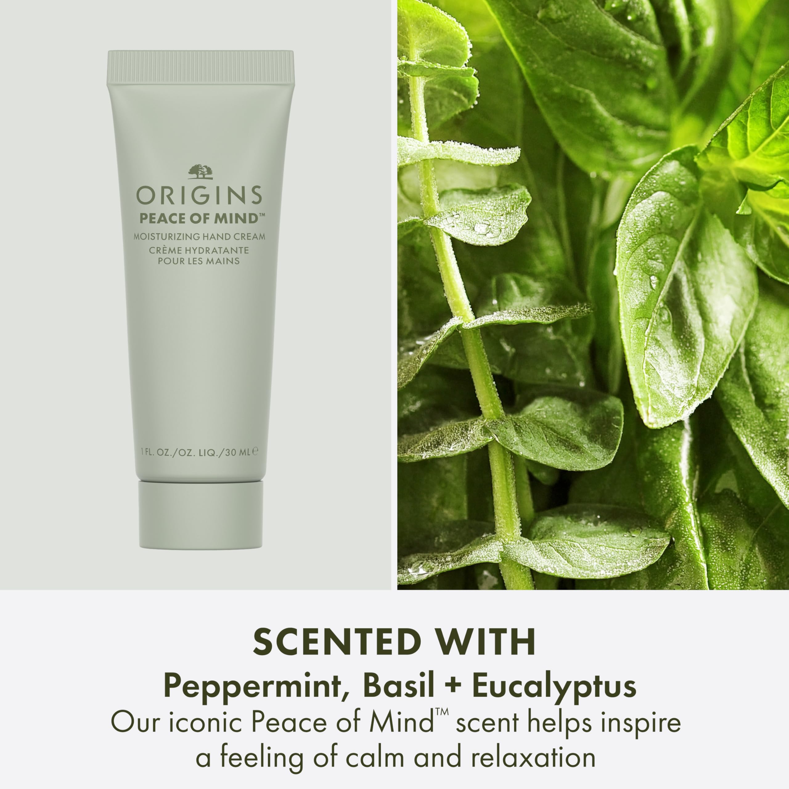 Origins Ginger tube positioned with meadowfoam seeds showing botanical conditioning benefits