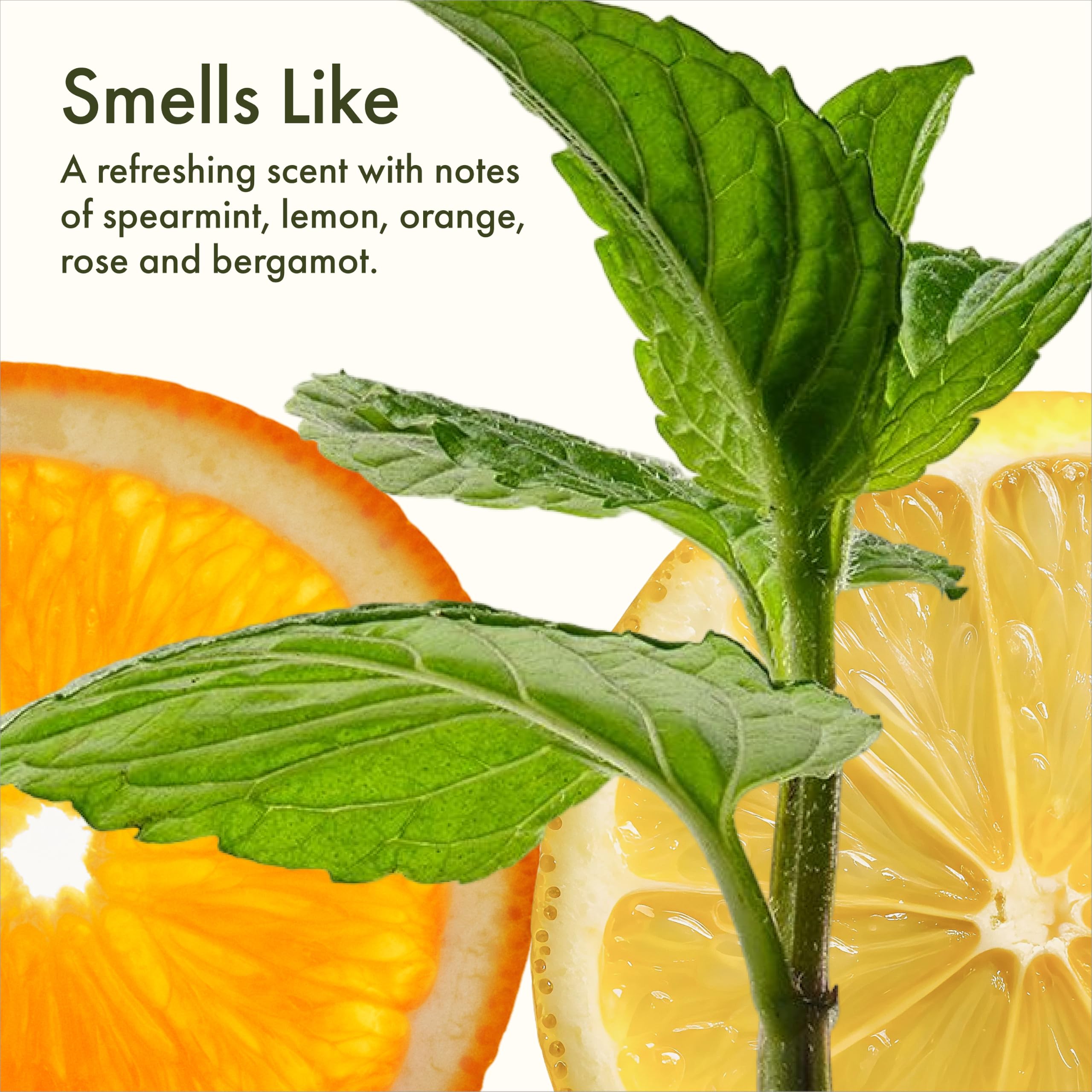 Origins white tea leaves ingredient photo emphasizing antioxidant protection