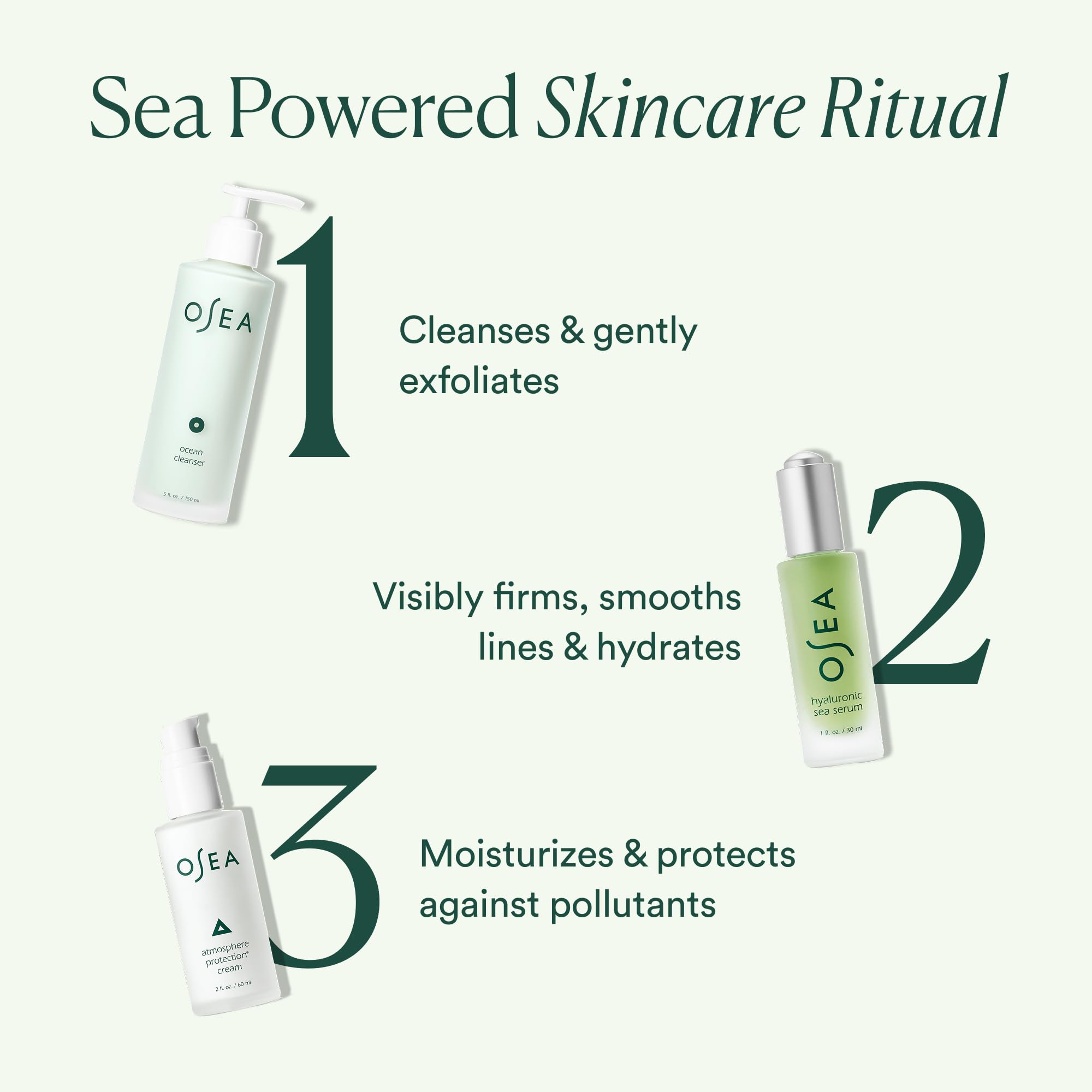 OSEA seaweed ingredient close-up emphasizing natural mineral and nutrient support