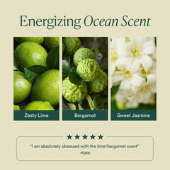 OSEA Undaria seaweed ingredient image signaling marine-powered hydration
