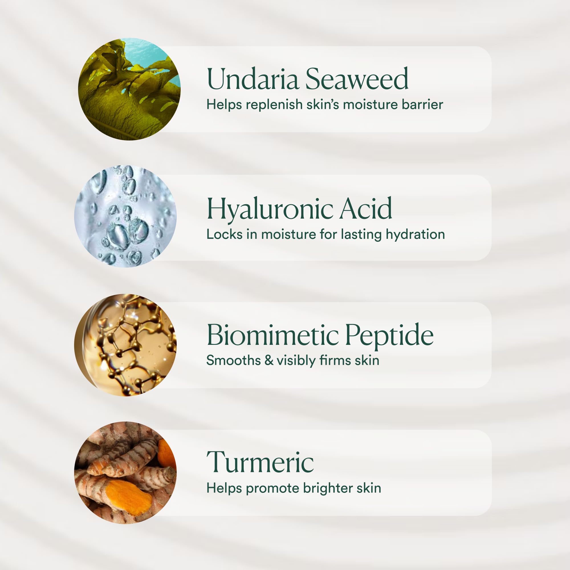 OSEA natural ingredients flatlay highlighting seaweed nourishment benefit