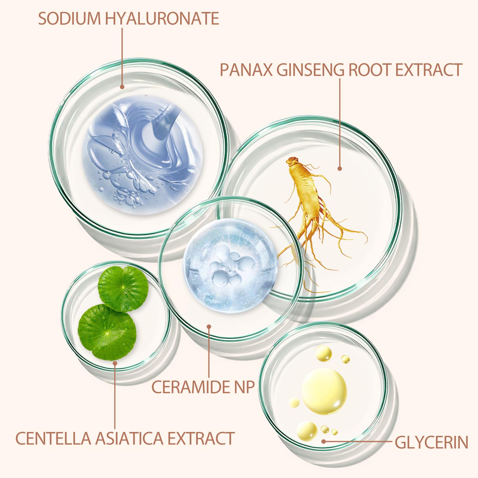 O.SECERT label highlighting SPF15 and moisturizing benefits