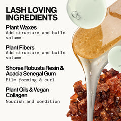 Pacifica plant waxes and fibers ingredient display for natural volumizing