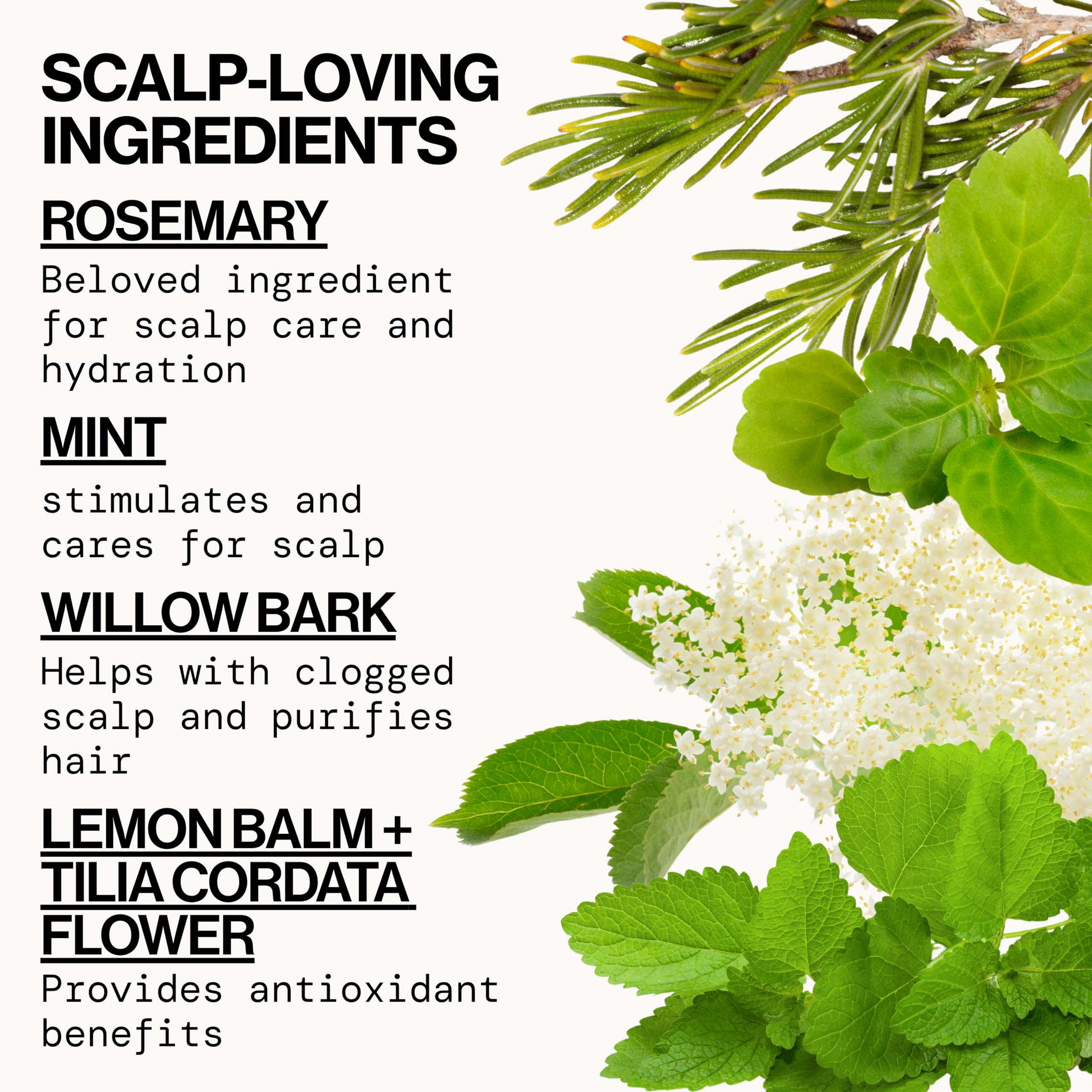 Pacifica conditioner texture close-up illustrating creamy hydrating formula