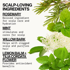 Pacifica conditioner texture close-up illustrating creamy hydrating formula