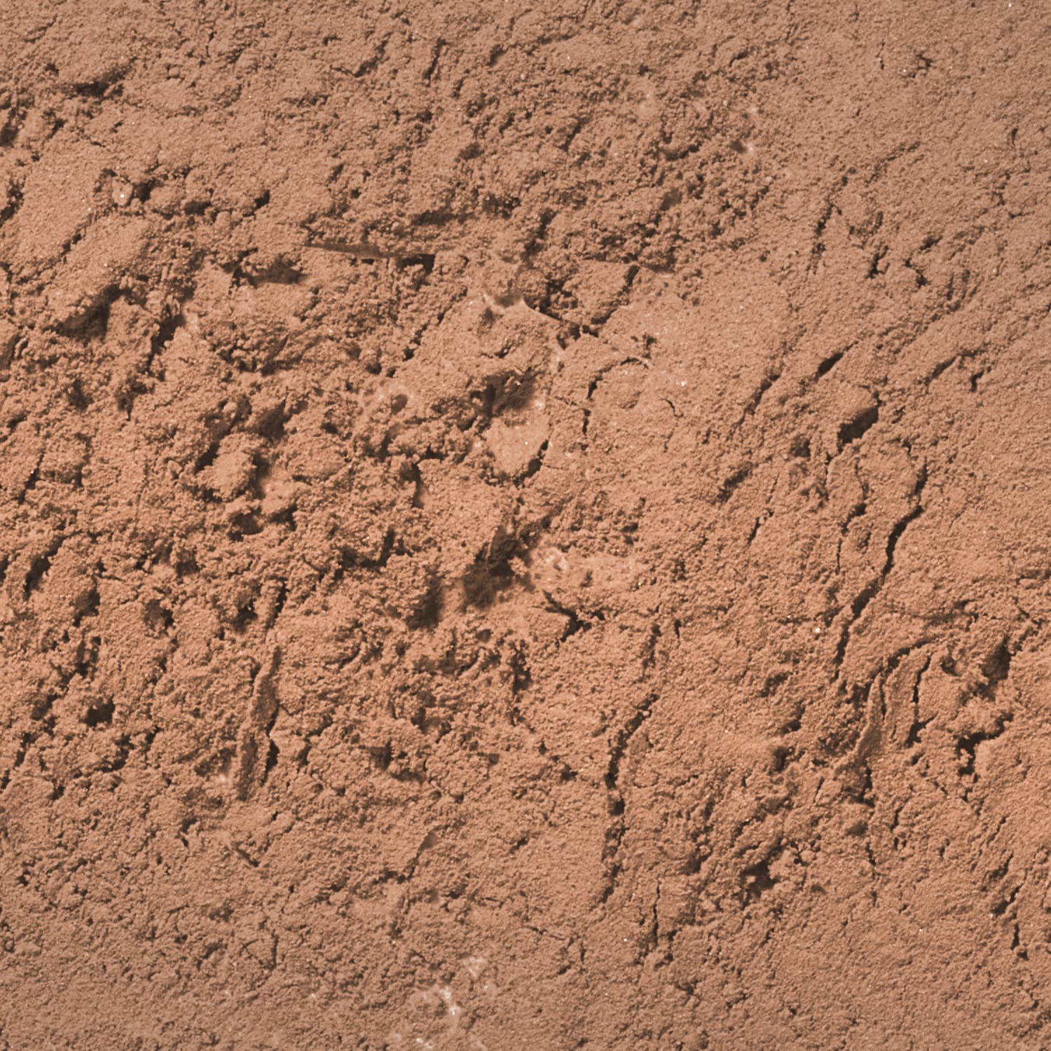 Palladio angled brush close-up for precise application and natural-looking strokes