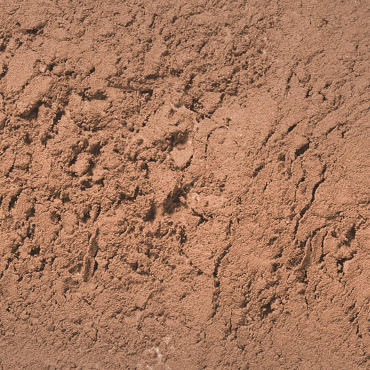 Palladio angled brush close-up for precise application and natural-looking strokes