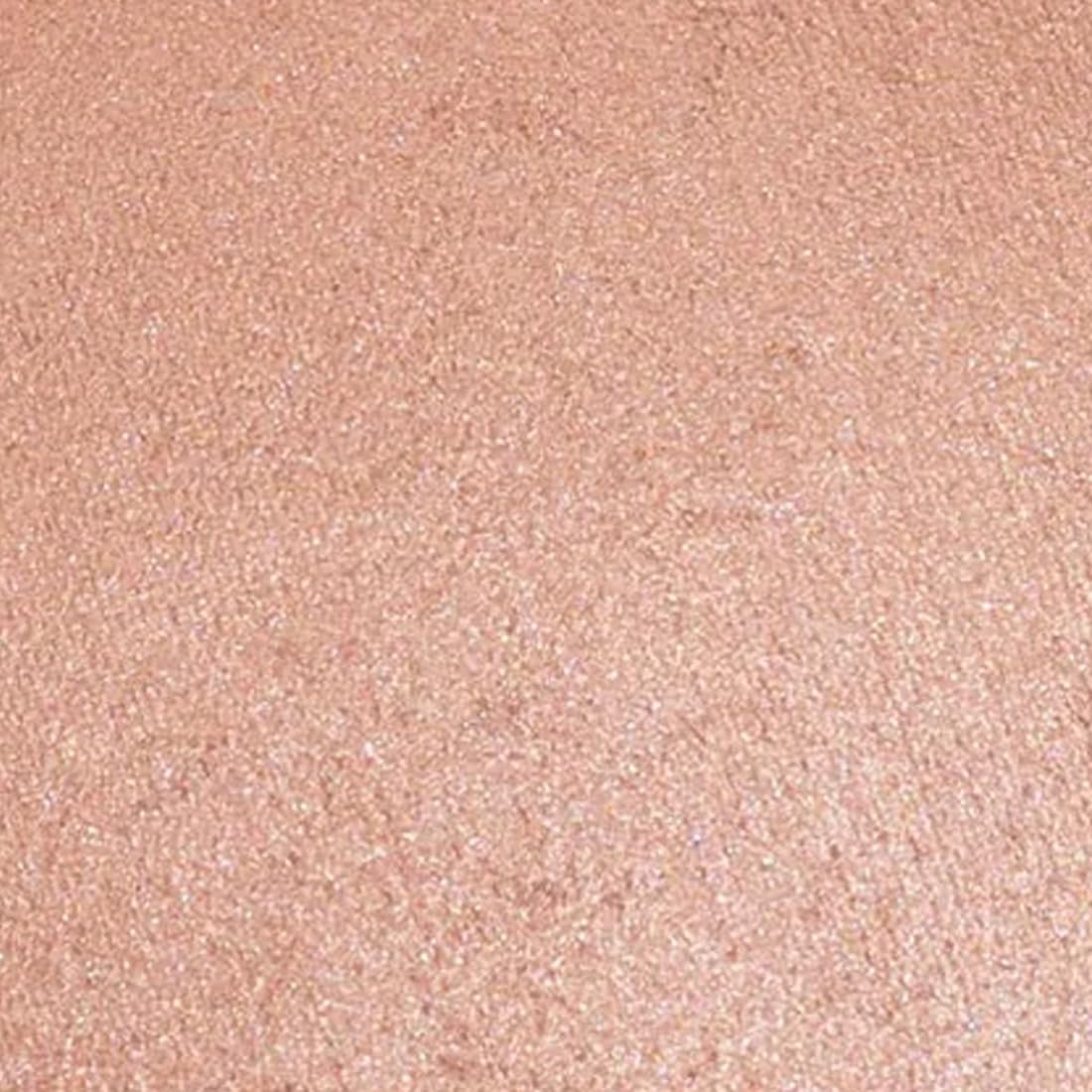 Palladio powder texture close-up highlighting blendable, shimmery finish