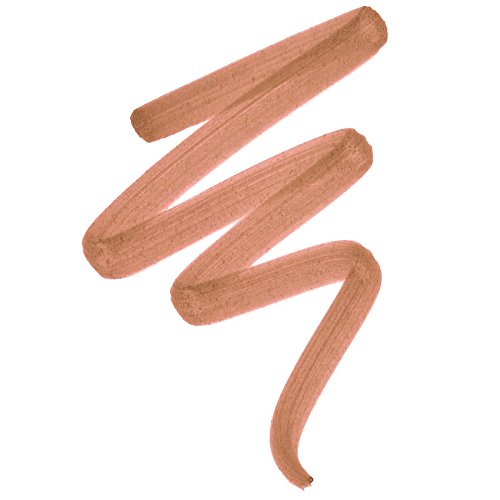 Palladio chisel tip closeup for precise application and clean lines