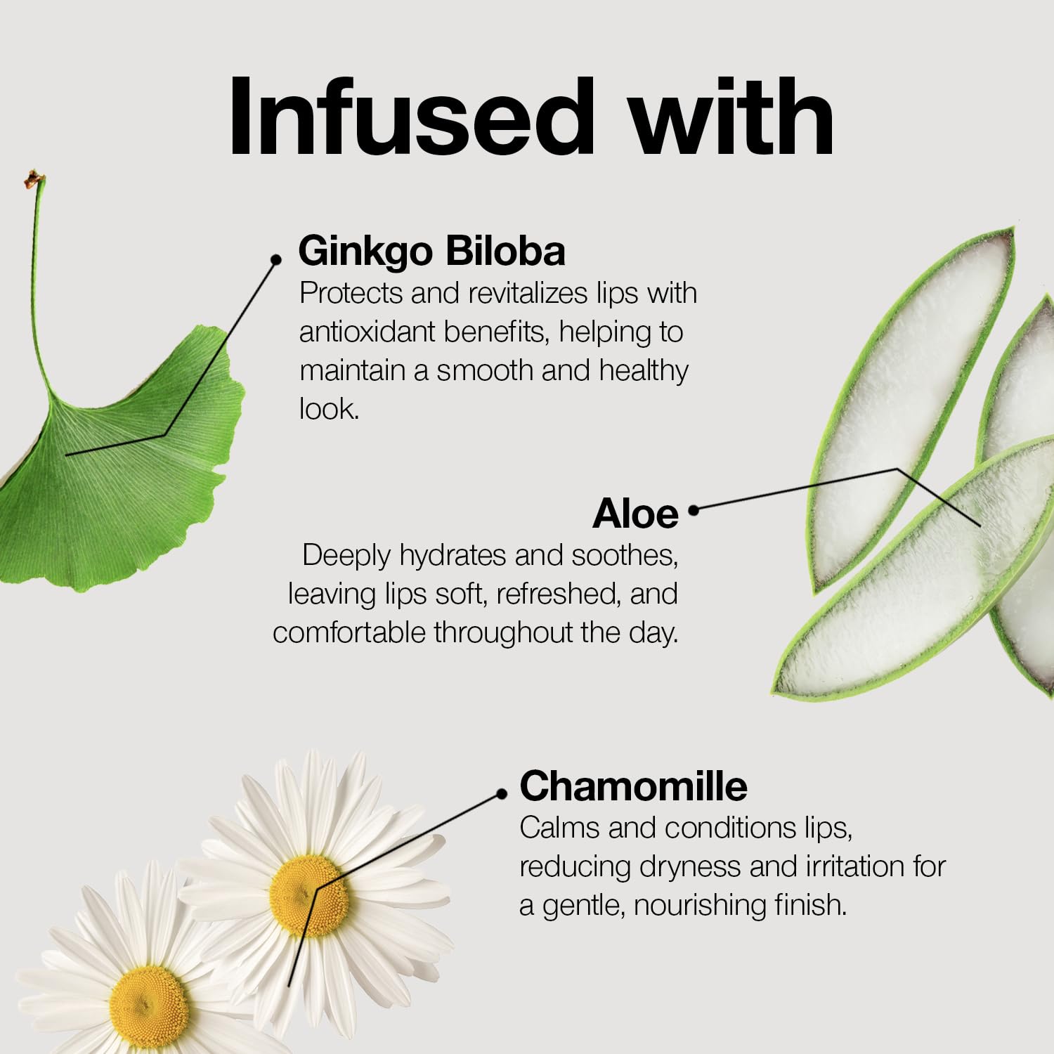 Palladio lipstick ingredients label emphasizing botanical extracts and clean beauty benefit