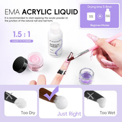 PEACECOLOR eleven acrylic powder shades offering versatile color options