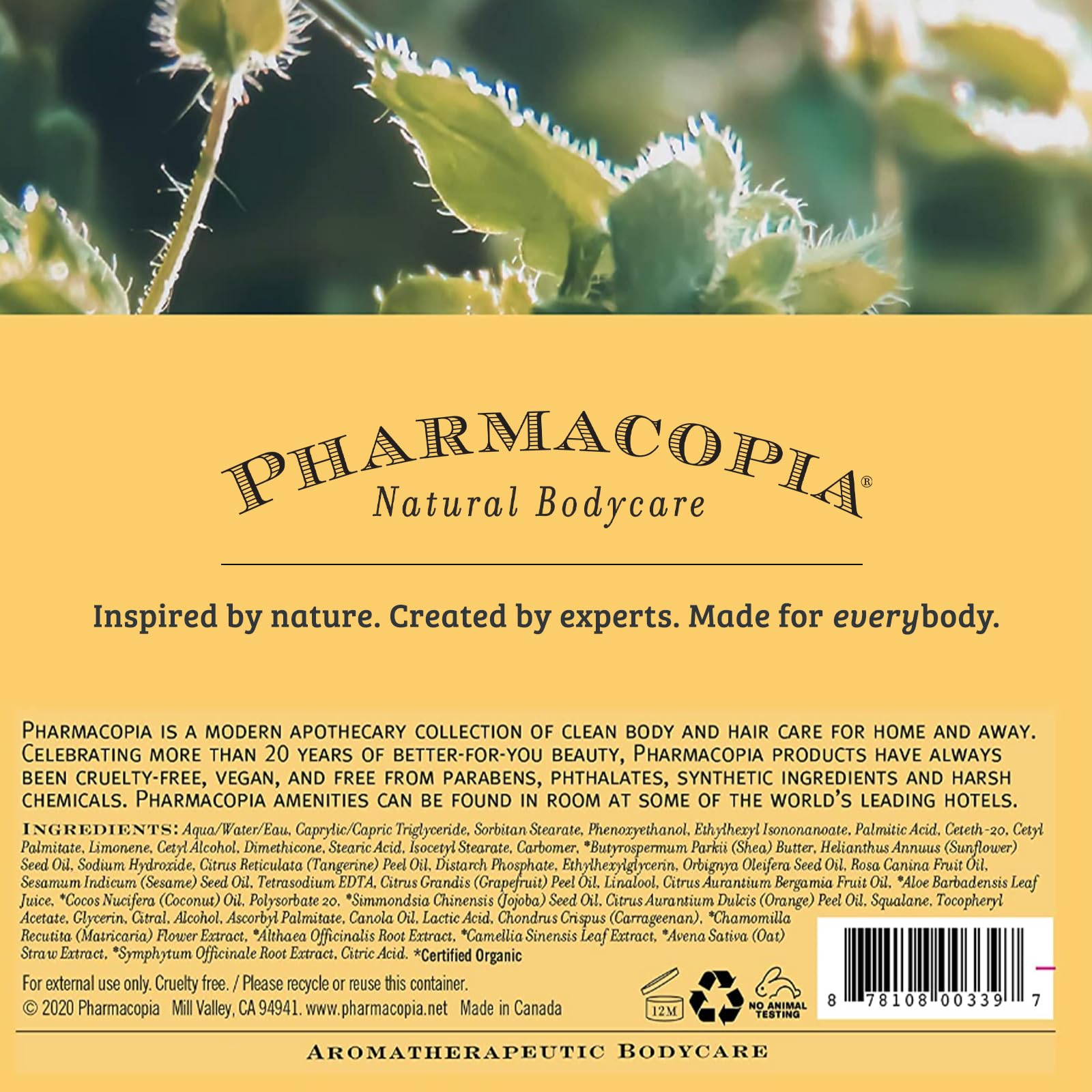 Pharmacopia 16 oz bottle beside a ruler showing size and value benefit