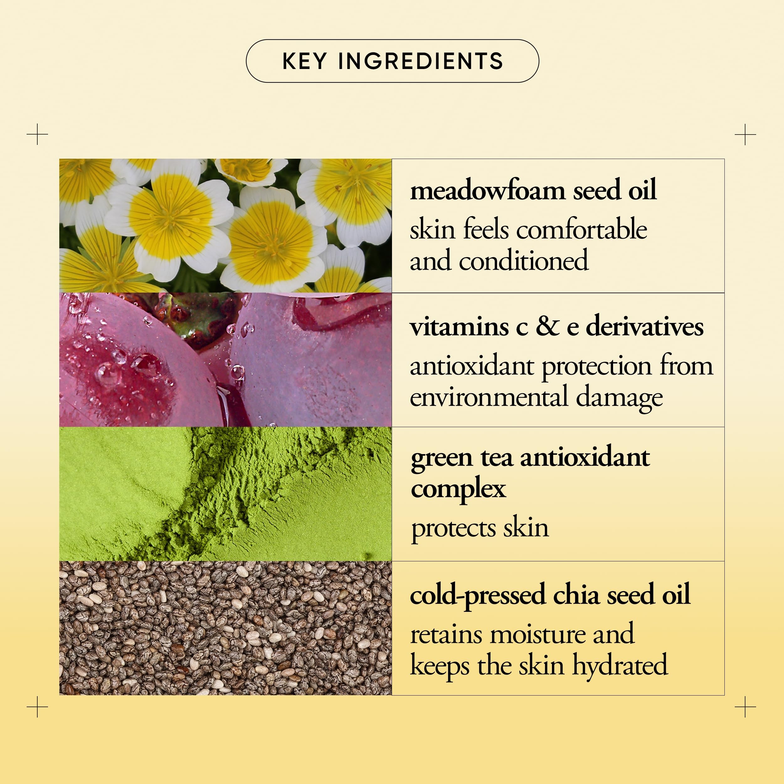 philosophy close-up of cream texture highlighting lightweight, fast-absorbing formula
