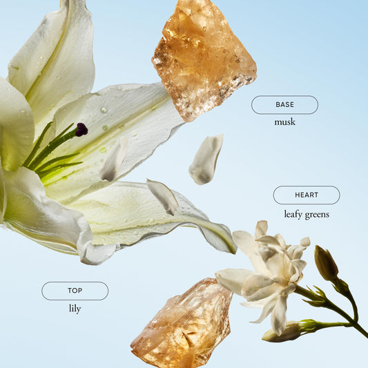 philosophy pure grace creamy texture close-up demonstrating lightweight absorbent finish
