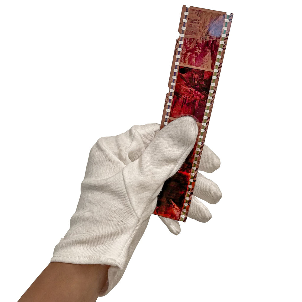 PHOTOMYNE gloves on desk during archival sorting for safer preservation