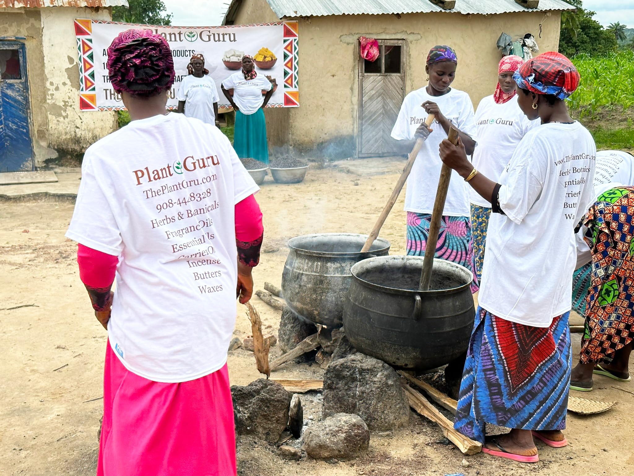 Plant Guru harvested shea nuts in Ghana showing traditional sourcing and traceability