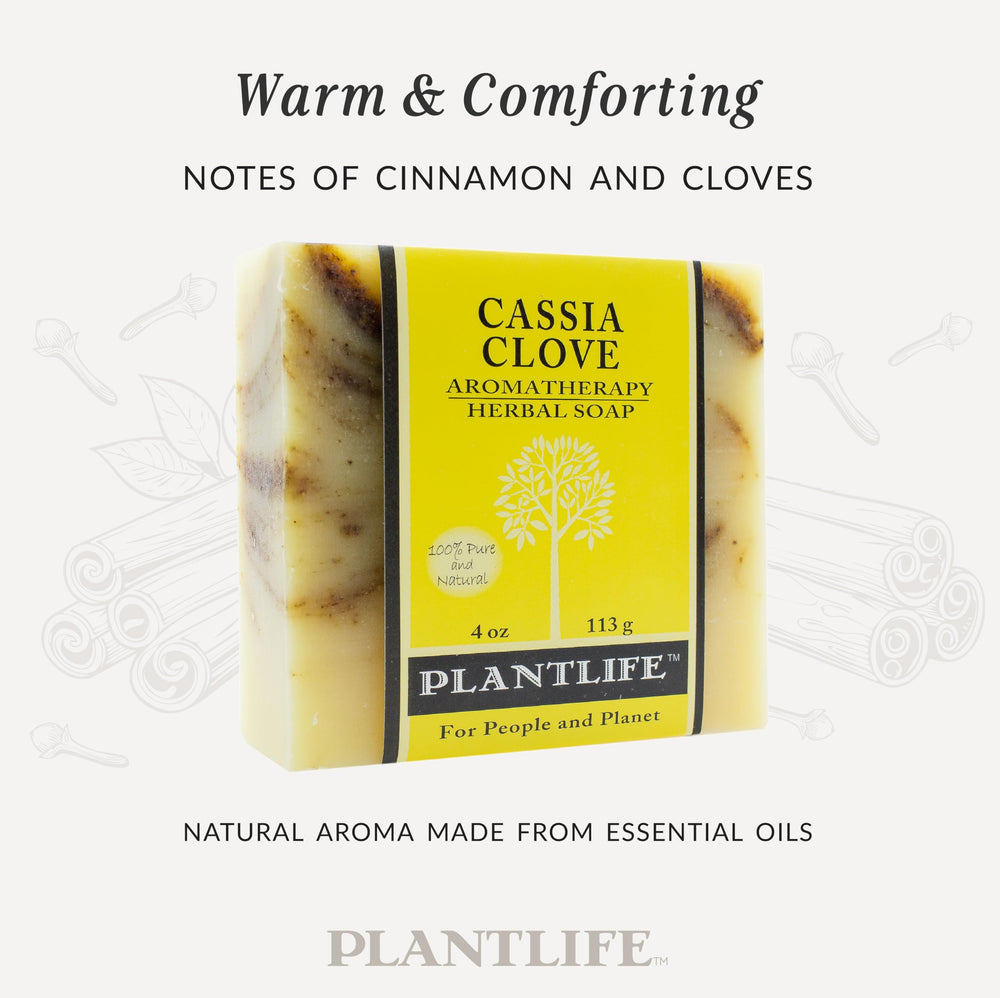 Plantlife ingredient oils closeup with botanicals, emphasizes pure essential oils