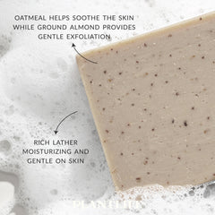 Plantlife close-up of oatmeal texture for soothing skin benefits