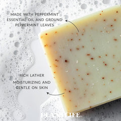 Plantlife soap in hand for scale and easy travel-friendly benefit