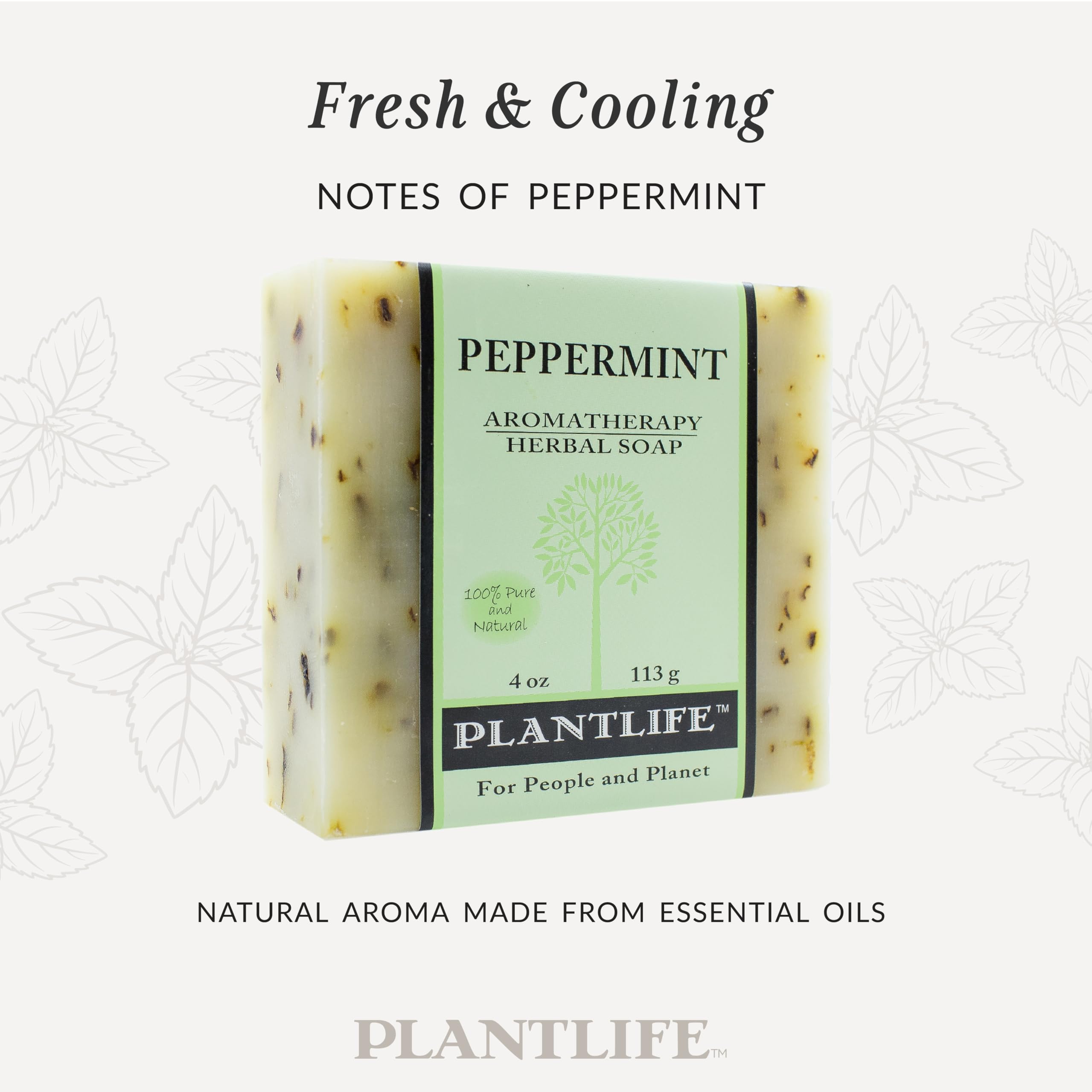 Plantlife ingredients flatlay with peppermint and botanicals for transparency