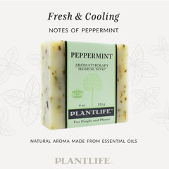 Plantlife ingredients flatlay with peppermint and botanicals for transparency